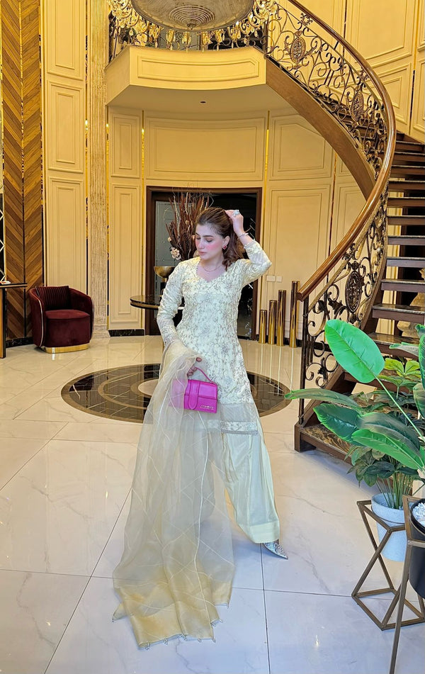 Areej Fatima Spotted Wearing ASM